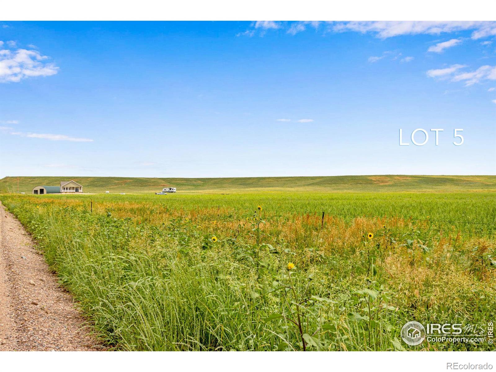 5 TBD County Road 17, Carr, CO 80612, ,Land,For Sale,TBD County Road 17,RECIR1021847