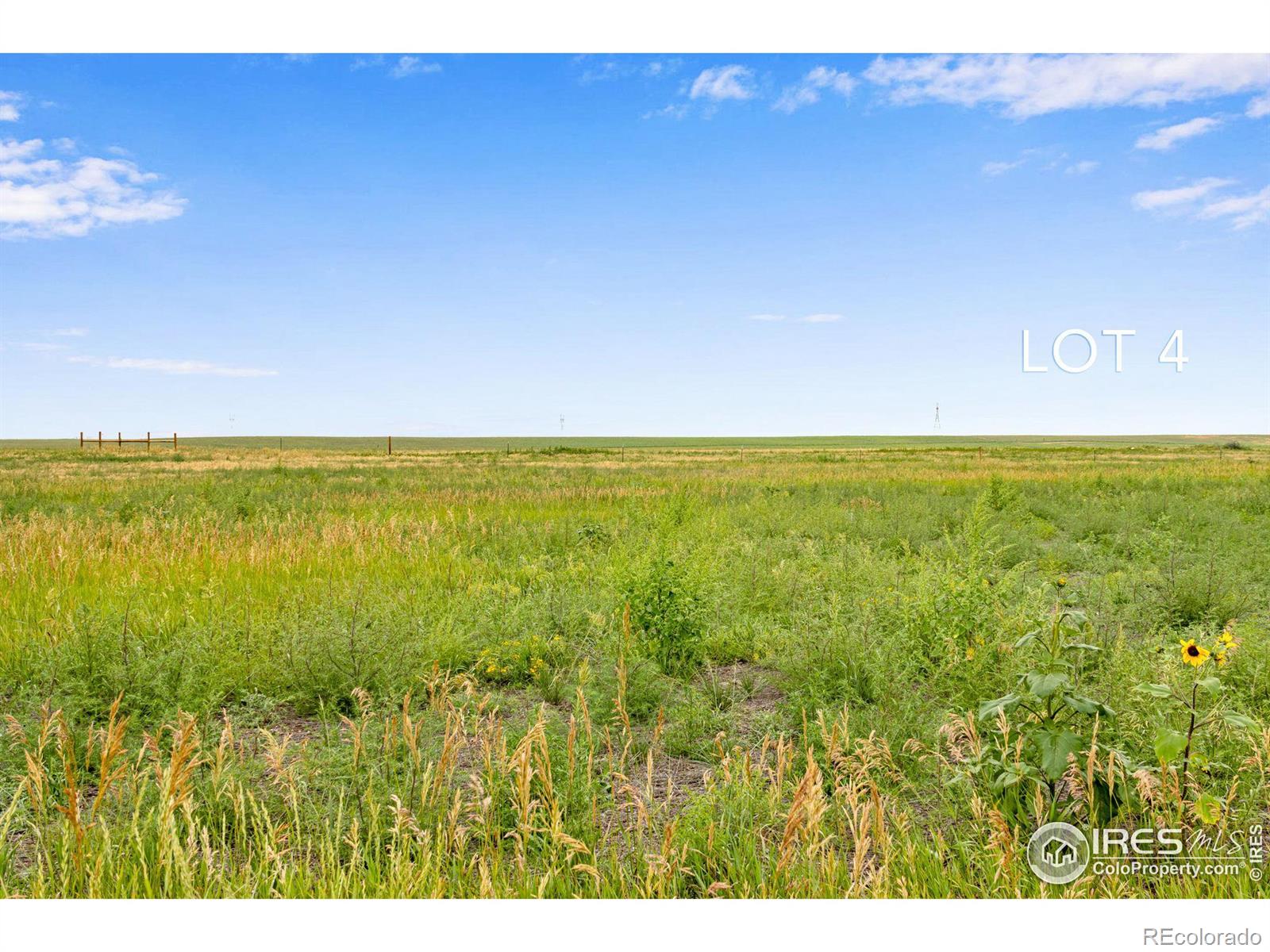 4 TBD County Road 21, Carr, CO 80612, ,Land,For Sale,TBD County Road 21,RECIR1021846