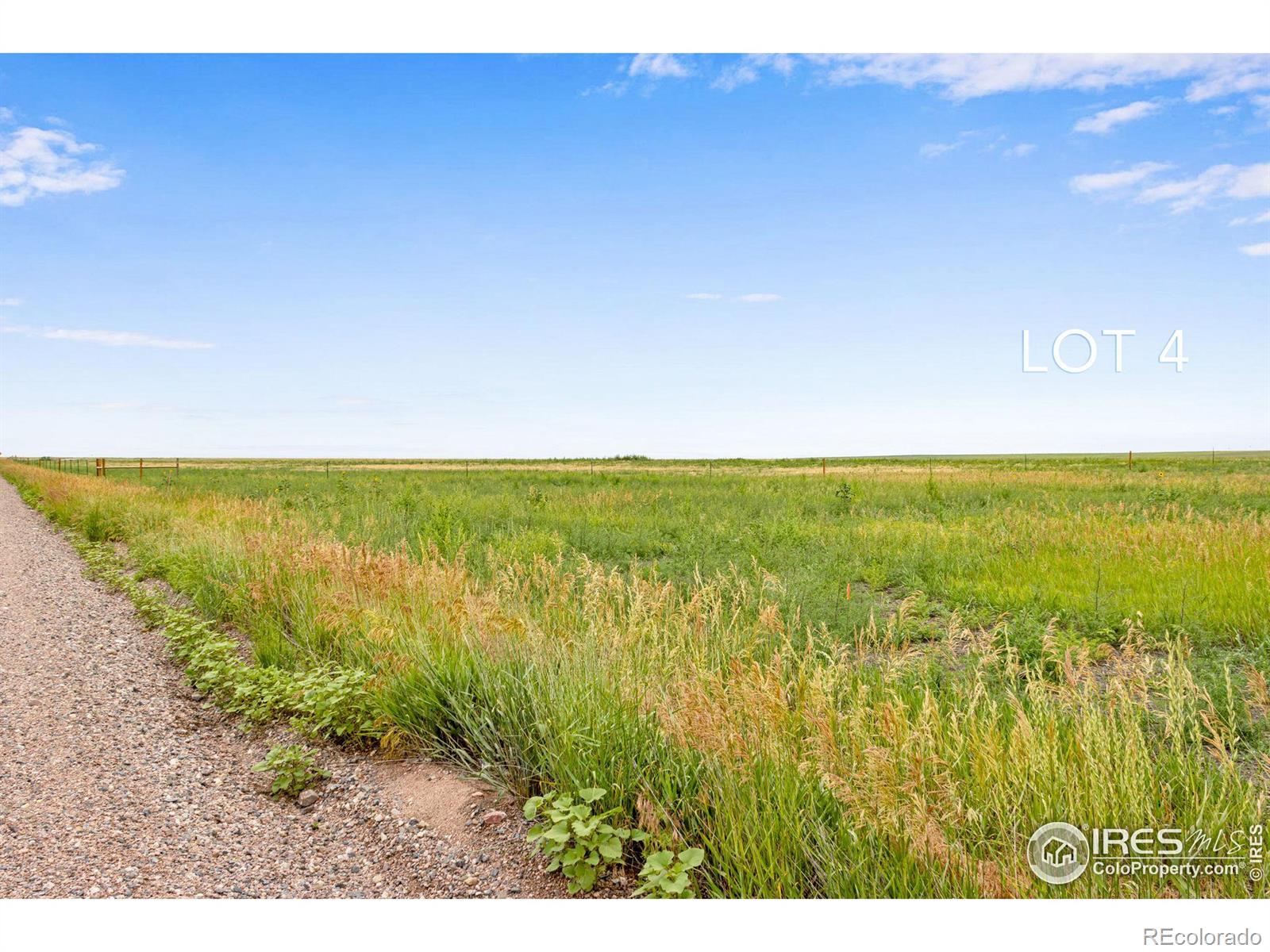 4 TBD County Road 21, Carr, CO 80612, ,Land,For Sale,TBD County Road 21,RECIR1021846