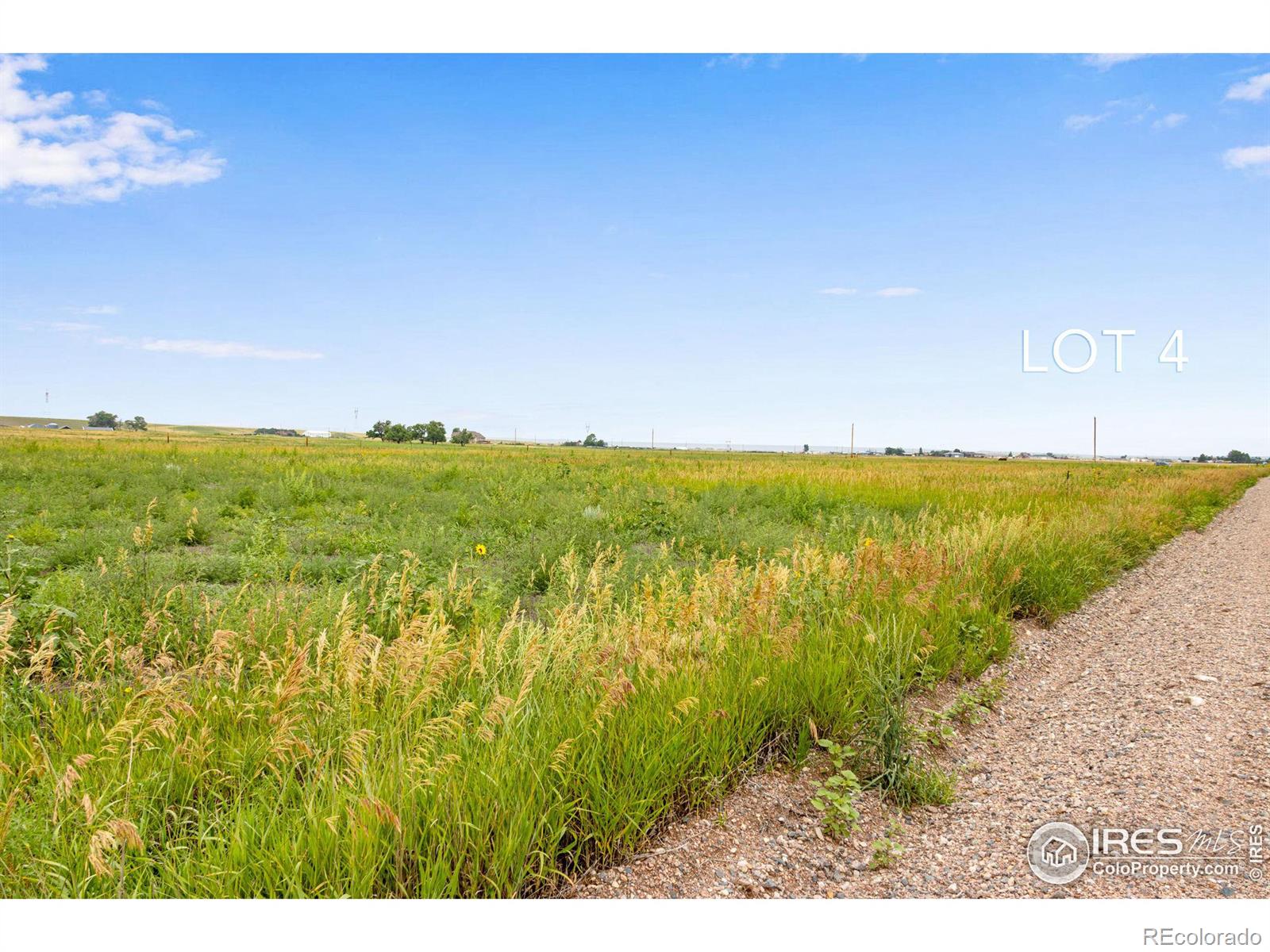 4 TBD County Road 21, Carr, CO 80612, ,Land,For Sale,TBD County Road 21,RECIR1021846