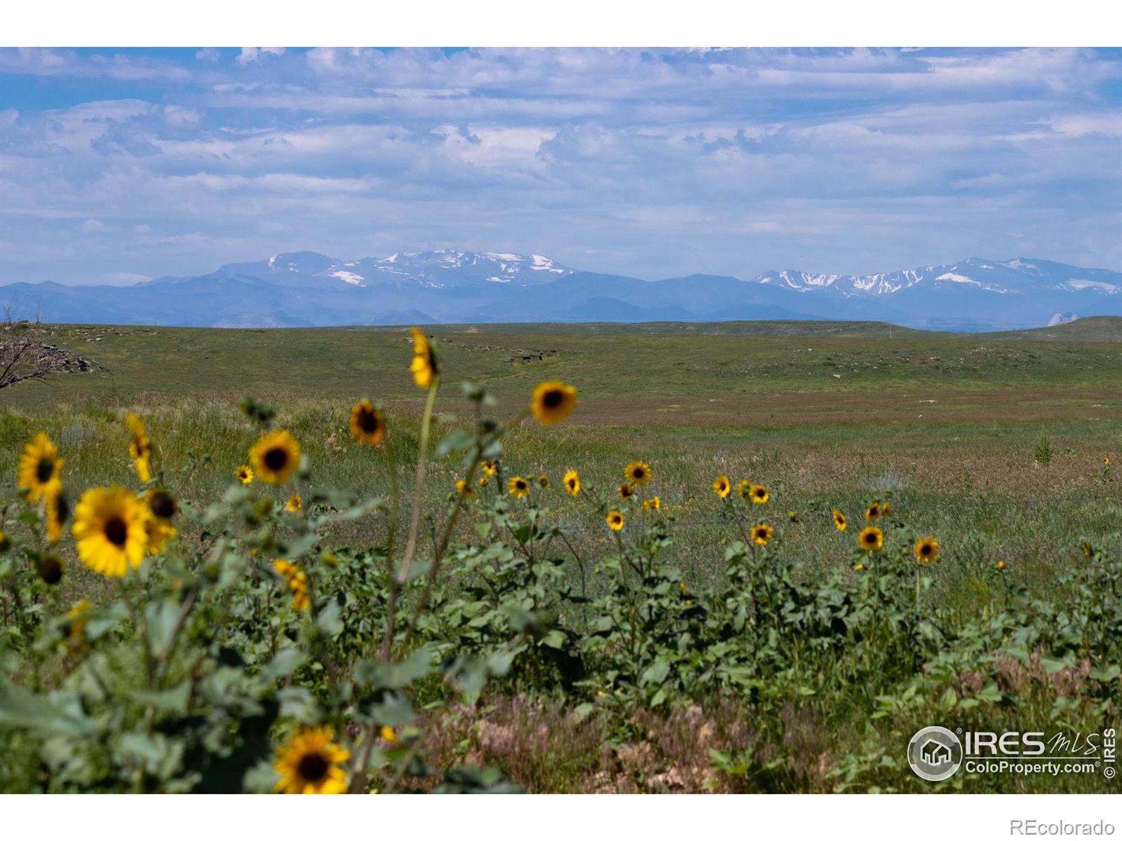 3 TBD County Road 21, Carr, CO 80612, ,Land,For Sale,TBD County Road 21,RECIR1021845