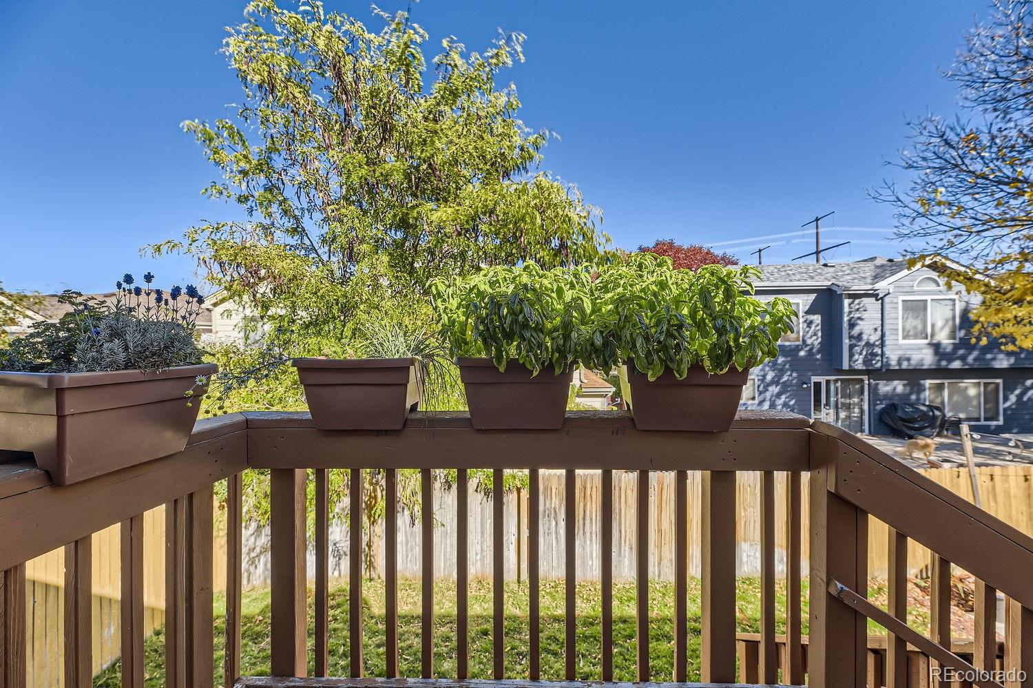 64 Amherst Street, Castle Rock, CO 80104, 3 Bedrooms Bedrooms, ,2 BathroomsBathrooms,Residential,For Sale,Amherst,REC1789702