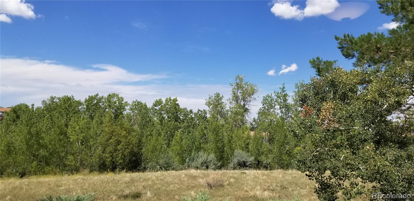 17541 Temple Drive, Aurora, CO 80015, 3 Bedrooms Bedrooms, ,2 BathroomsBathrooms,Rental,For Rent,Temple,REC4863156
