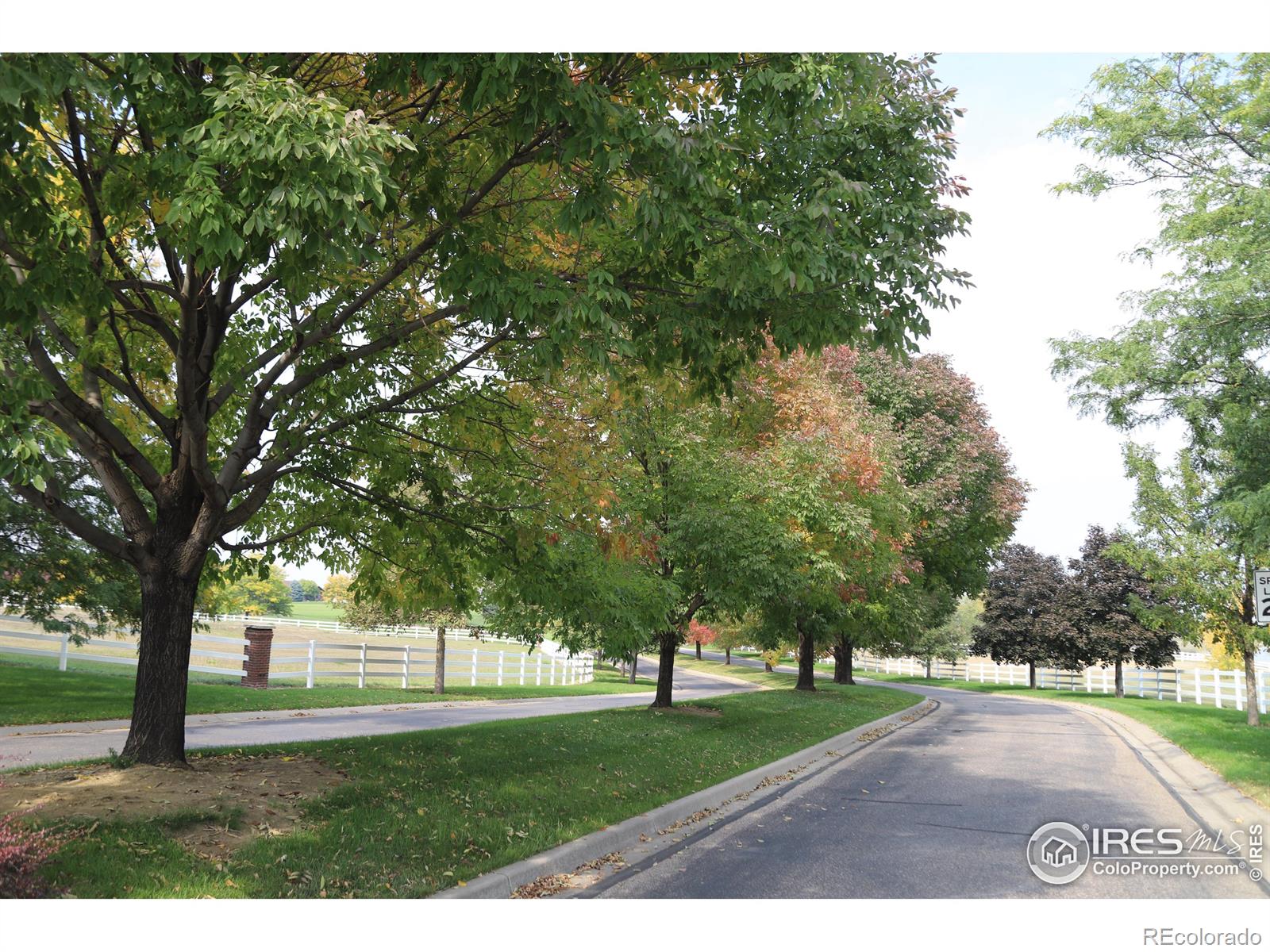 8322 Coeur Dalene Drive, Fort Collins, CO 80525, ,Land,For Sale,Coeur Dalene,RECIR1022239