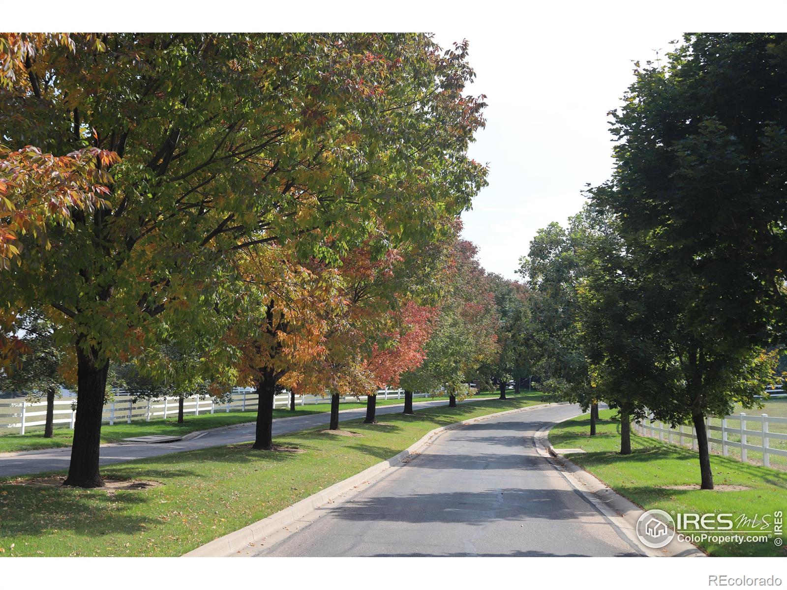 8322 Coeur Dalene Drive, Fort Collins, CO 80525, ,Land,For Sale,Coeur Dalene,RECIR1022239
