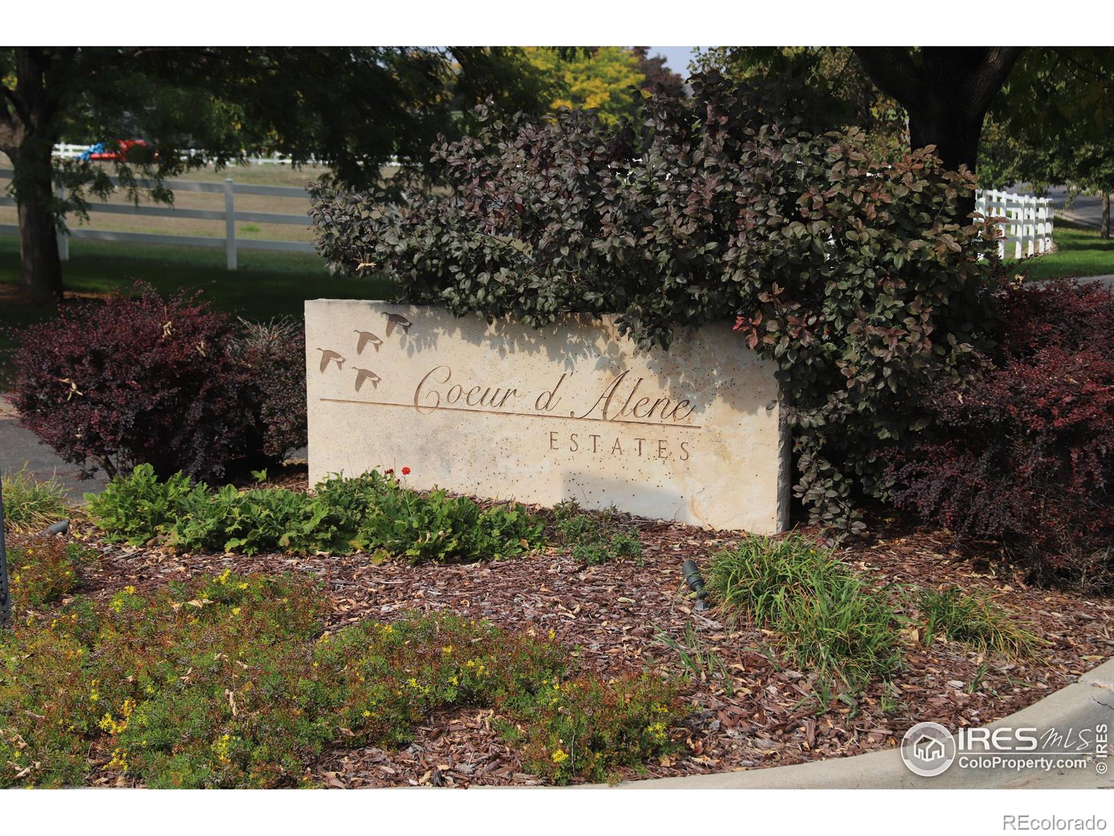8322 Coeur Dalene Drive, Fort Collins, CO 80525, ,Land,For Sale,Coeur Dalene,RECIR1022239