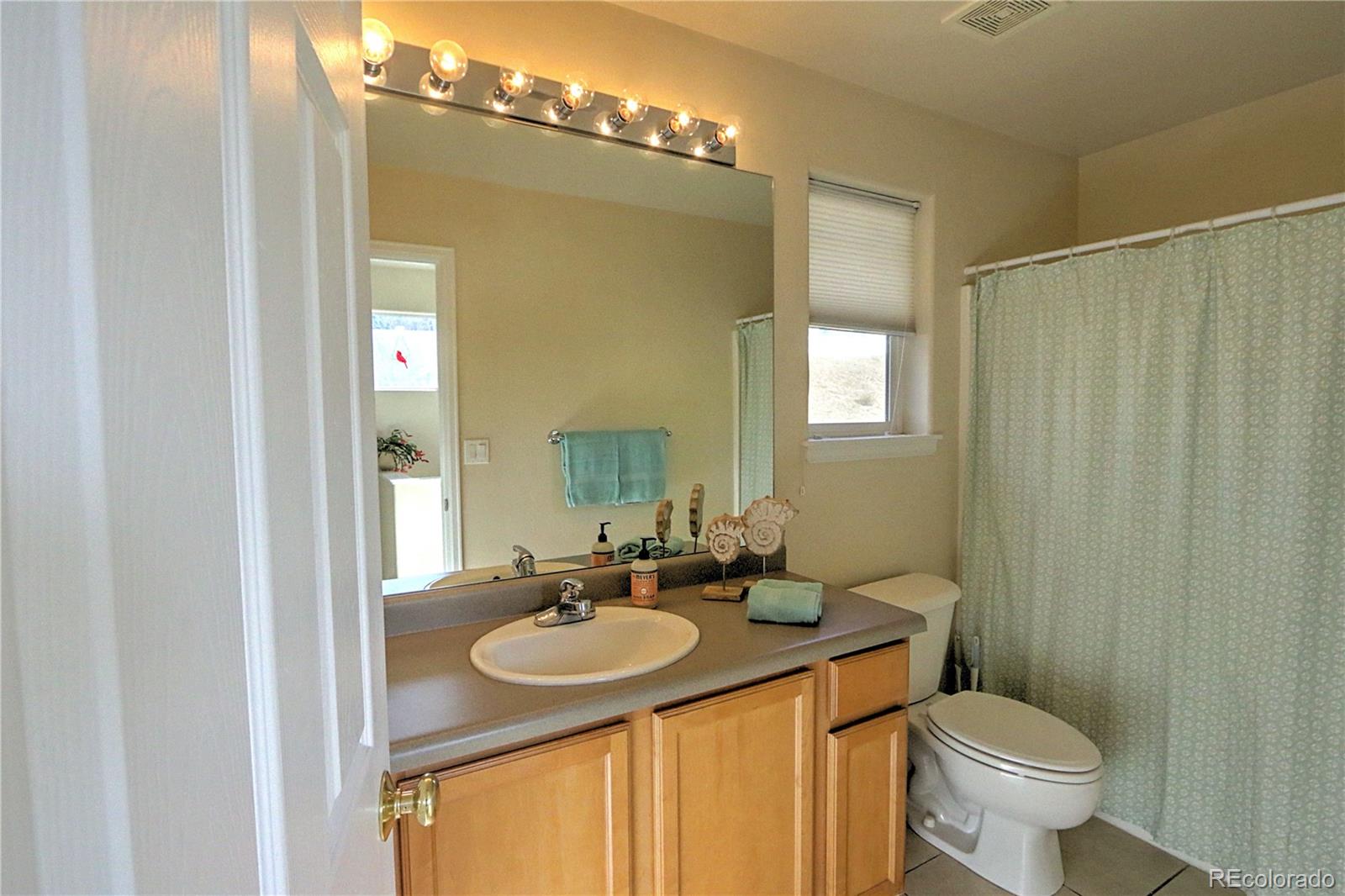 266 Capital Court, New Castle, CO 81647, 3 Bedrooms Bedrooms, ,3 BathroomsBathrooms,Residential,For Sale,Capital,REC5893537