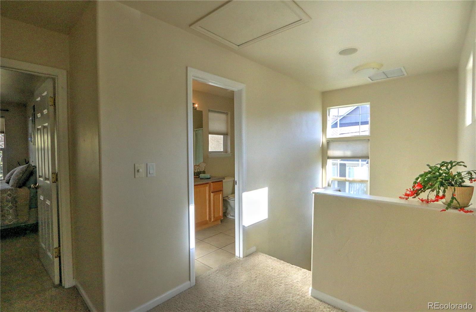 266 Capital Court, New Castle, CO 81647, 3 Bedrooms Bedrooms, ,3 BathroomsBathrooms,Residential,For Sale,Capital,REC5893537