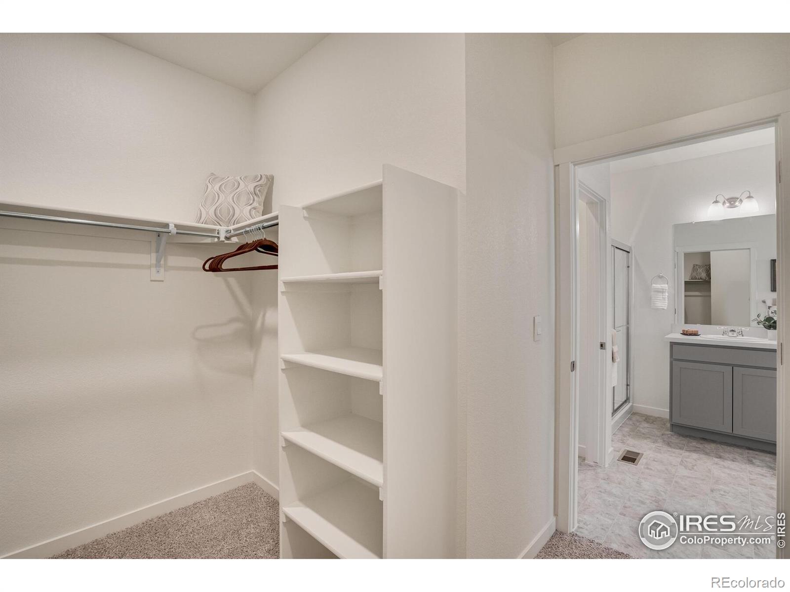 4979 Buelingo Drive, Windsor, CO 80528, 4 Bedrooms Bedrooms, ,2 BathroomsBathrooms,Residential,For Sale,Buelingo,RECIR1022484