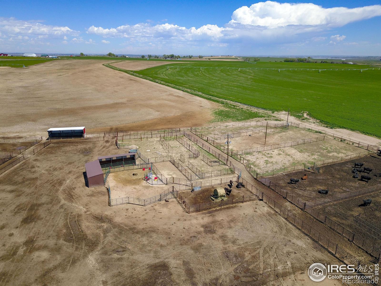 CR 40, La Salle, CO 80645, ,Residential,For Sale,CR 40,RECIR1022449