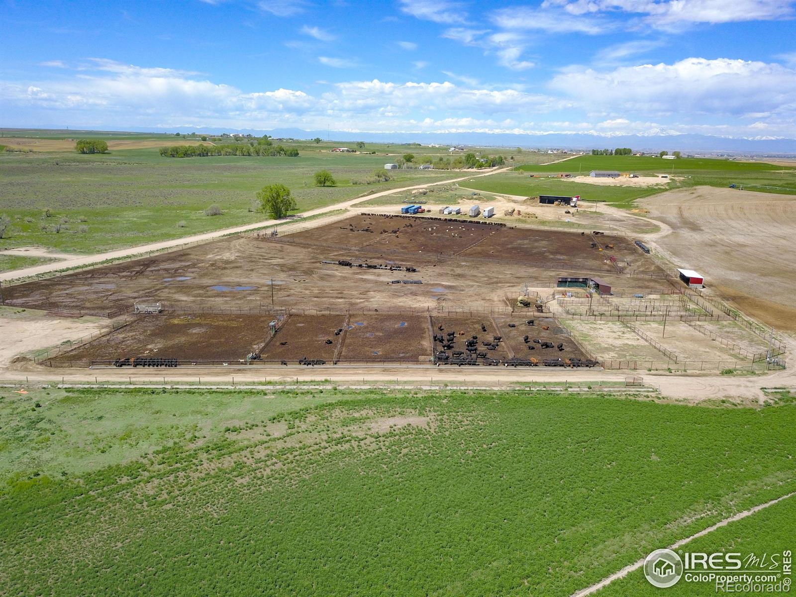 CR 40, La Salle, CO 80645, ,Residential,For Sale,CR 40,RECIR1022449