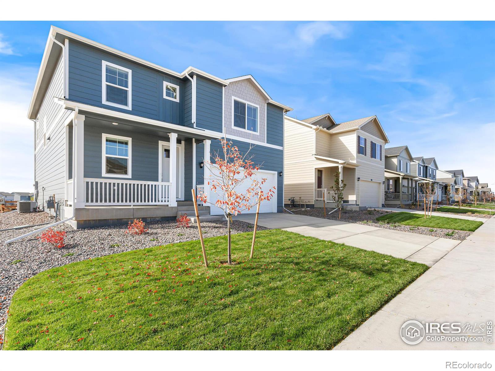 6514 A Street, Greeley, CO 80634, 4 Bedrooms Bedrooms, ,3 BathroomsBathrooms,Residential,For Sale,A,RECIR1022704