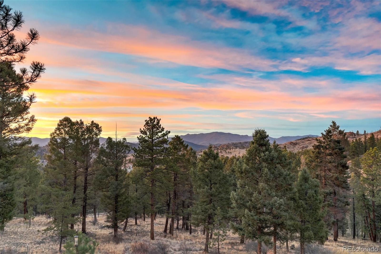 489 Trail Creek Road, Lake George, CO 80827, 3 Bedrooms Bedrooms, ,3 BathroomsBathrooms,Residential,For Sale,Trail Creek,REC9235406