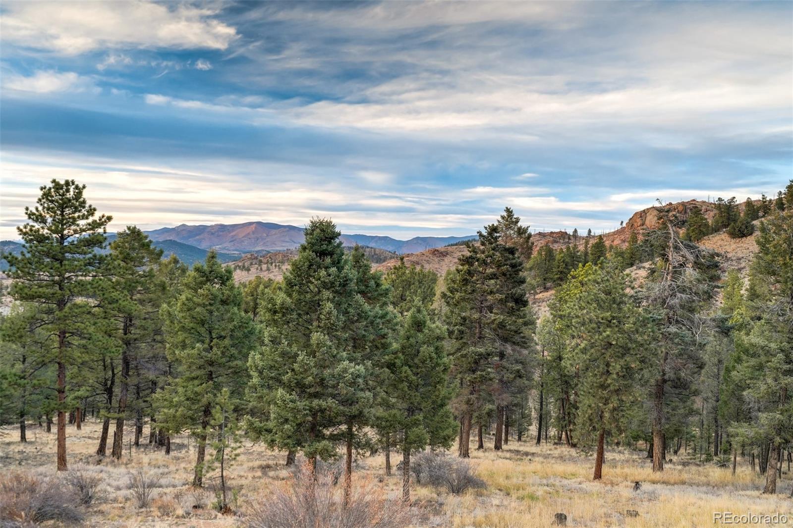 489 Trail Creek Road, Lake George, CO 80827, 3 Bedrooms Bedrooms, ,3 BathroomsBathrooms,Residential,For Sale,Trail Creek,REC9235406