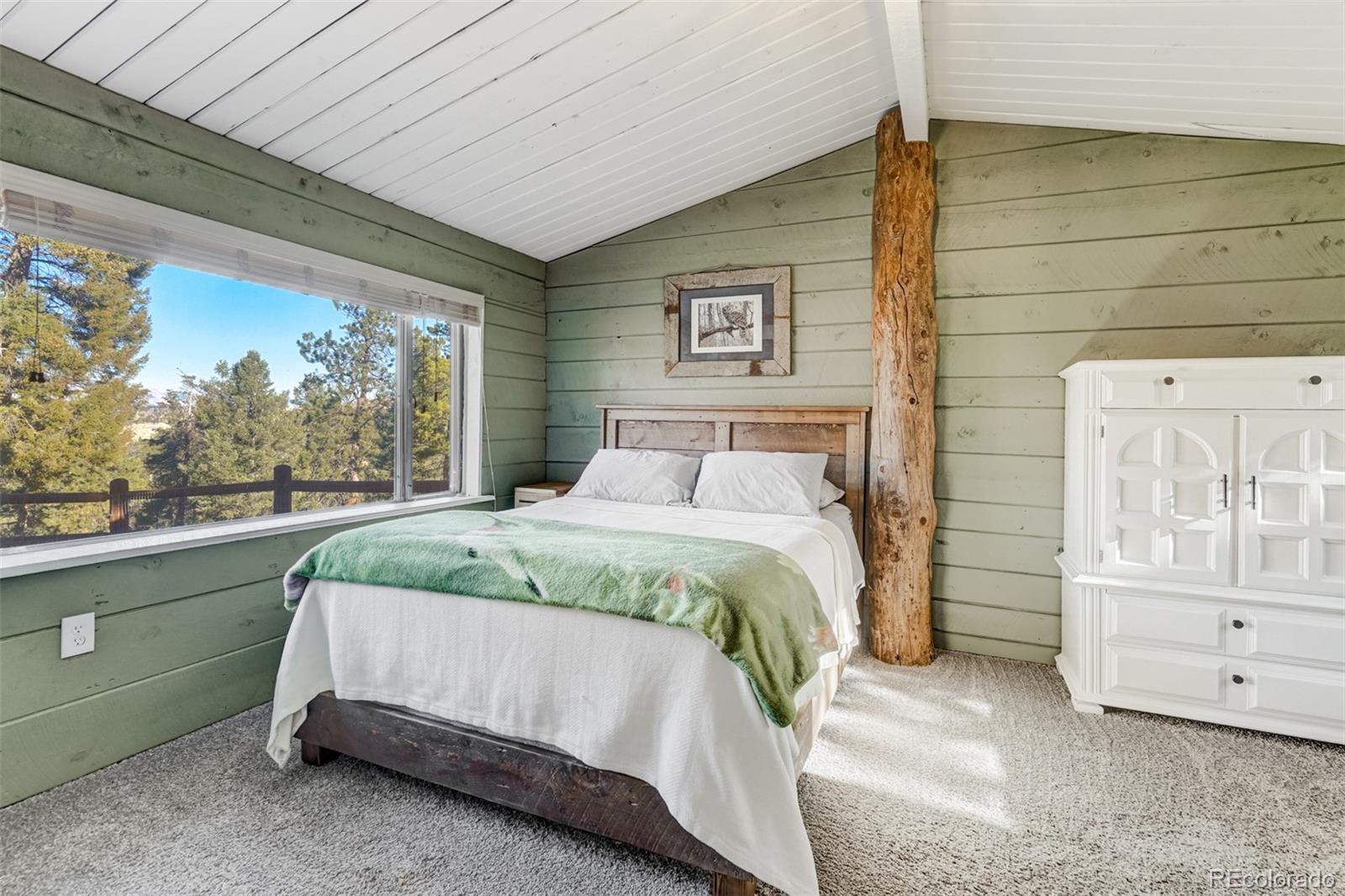 489 Trail Creek Road, Lake George, CO 80827, 3 Bedrooms Bedrooms, ,3 BathroomsBathrooms,Residential,For Sale,Trail Creek,REC9235406