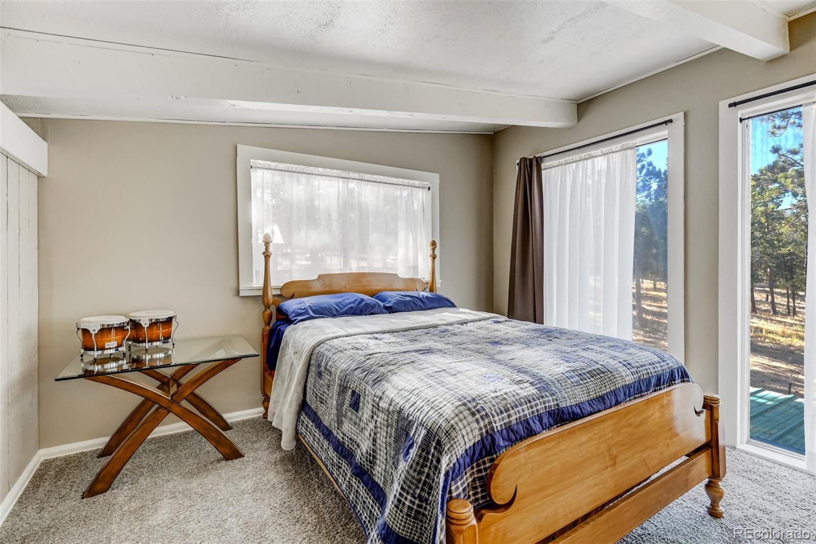 489 Trail Creek Road, Lake George, CO 80827, 3 Bedrooms Bedrooms, ,3 BathroomsBathrooms,Residential,For Sale,Trail Creek,REC9235406