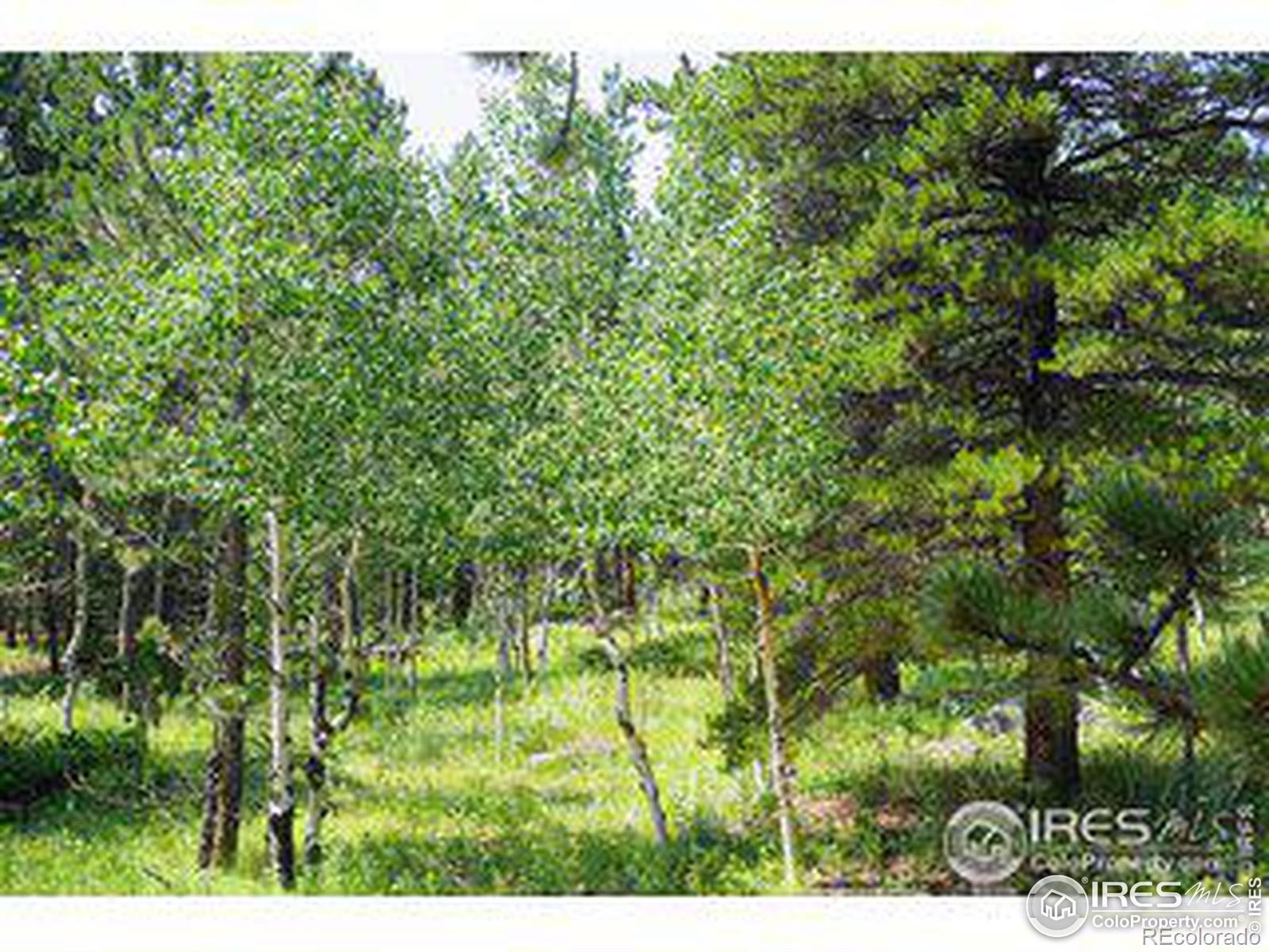 246 Tahosa Park South Road, Allenspark, CO 80510, ,Land,For Sale,Tahosa Park South,RECIR1022596