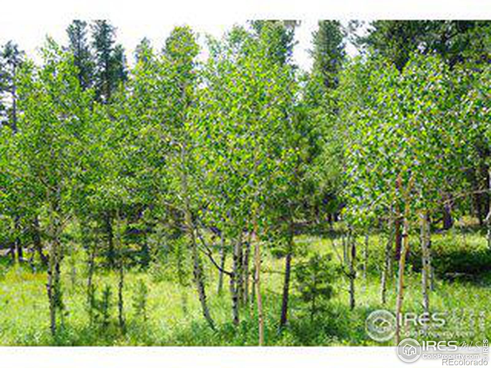 246 Tahosa Park South Road, Allenspark, CO 80510, ,Land,For Sale,Tahosa Park South,RECIR1022596