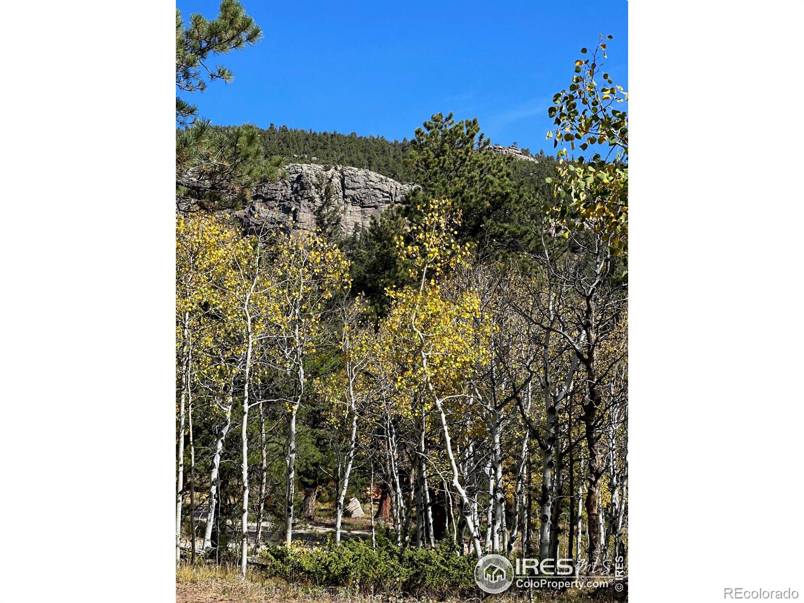 246 Tahosa Park South Road, Allenspark, CO 80510, ,Land,For Sale,Tahosa Park South,RECIR1022596