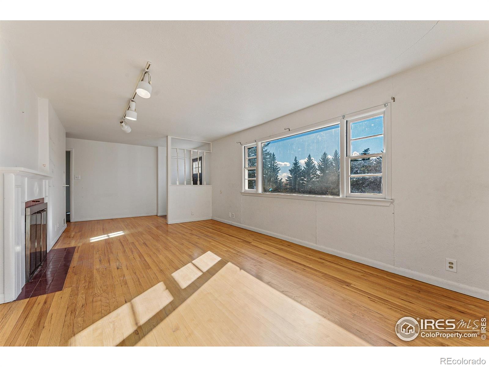 914 Cottonwood Drive, Fort Collins, CO 80524, 3 Bedrooms Bedrooms, ,1 BathroomBathrooms,Residential,For Sale,Cottonwood,RECIR1022594