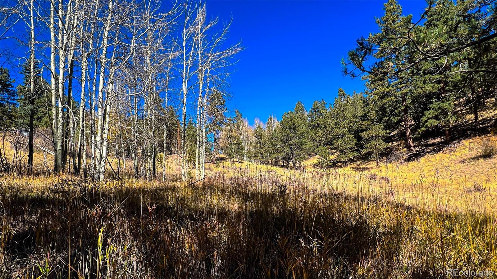 434 Dandy Jim Drive, Cripple Creek, CO 80813, ,Land,For Sale,Dandy Jim,REC9518963