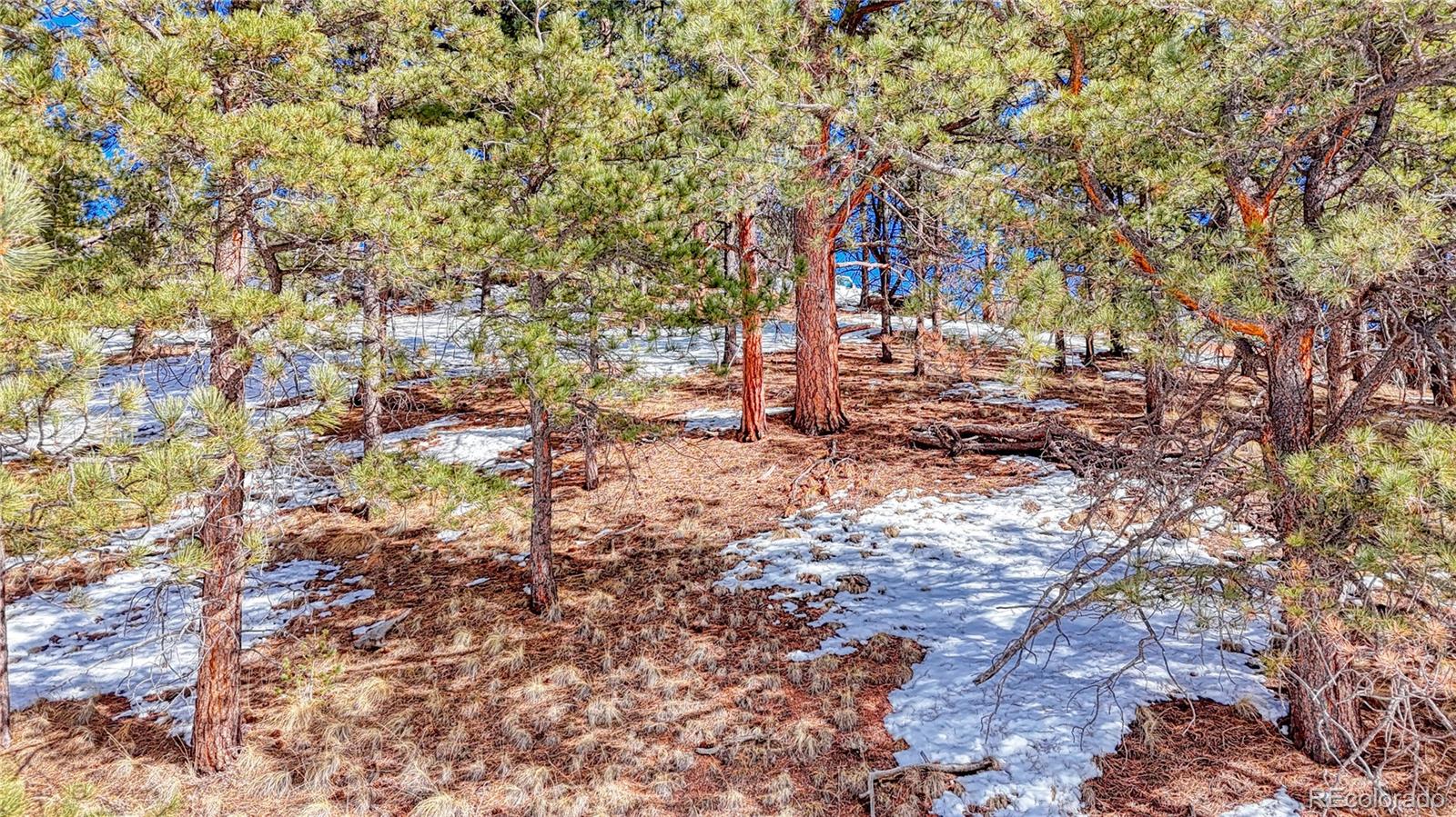 434 Dandy Jim Drive, Cripple Creek, CO 80813, ,Land,For Sale,Dandy Jim,REC9518963