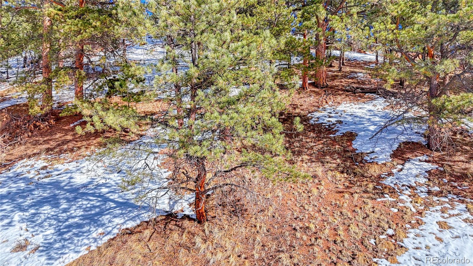 434 Dandy Jim Drive, Cripple Creek, CO 80813, ,Land,For Sale,Dandy Jim,REC9518963