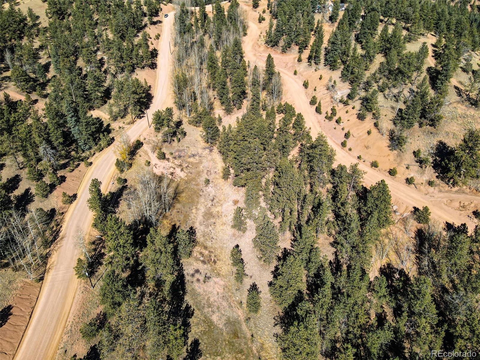 434 Dandy Jim Drive, Cripple Creek, CO 80813, ,Land,For Sale,Dandy Jim,REC9518963