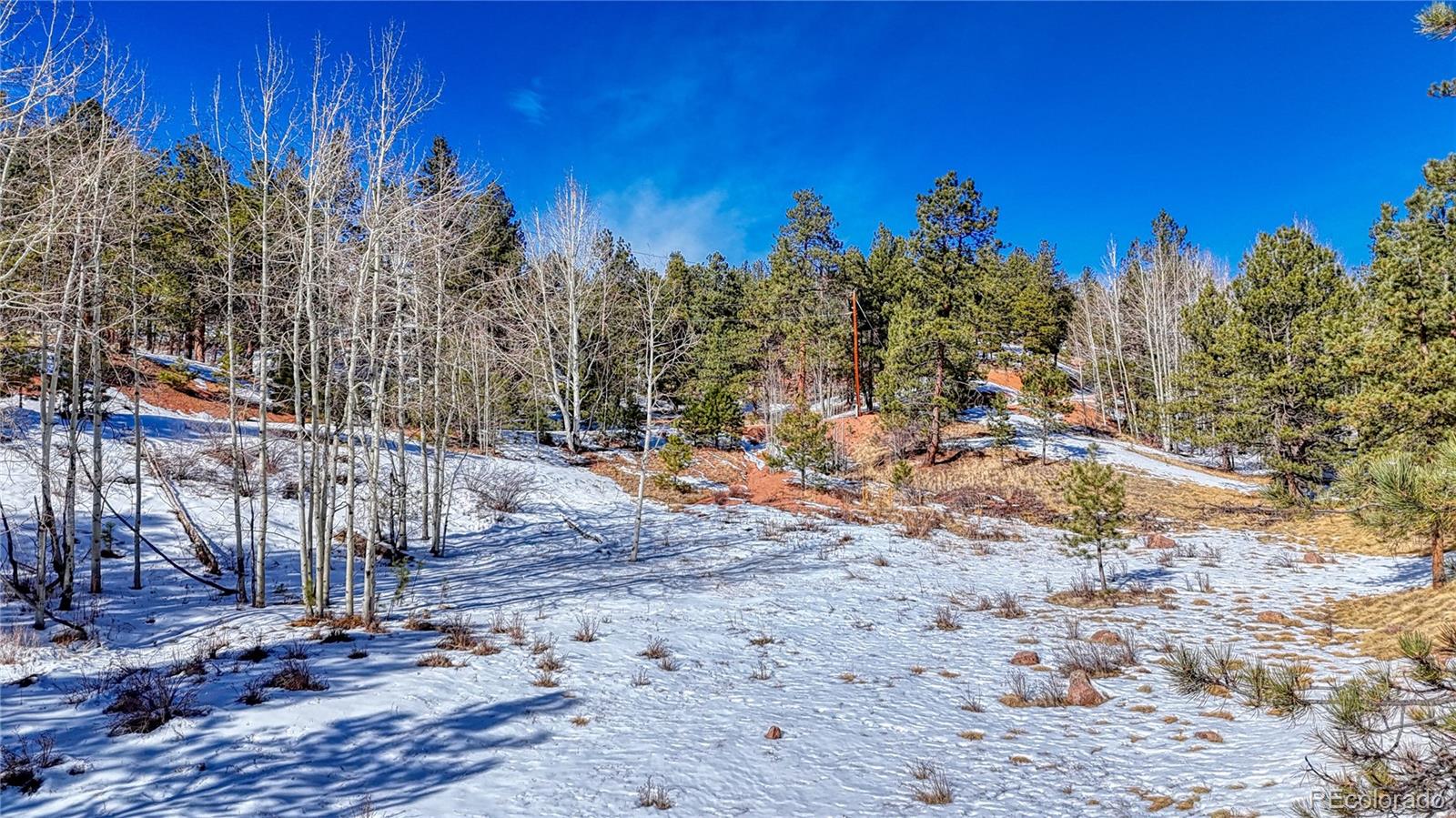 434 Dandy Jim Drive, Cripple Creek, CO 80813, ,Land,For Sale,Dandy Jim,REC9518963