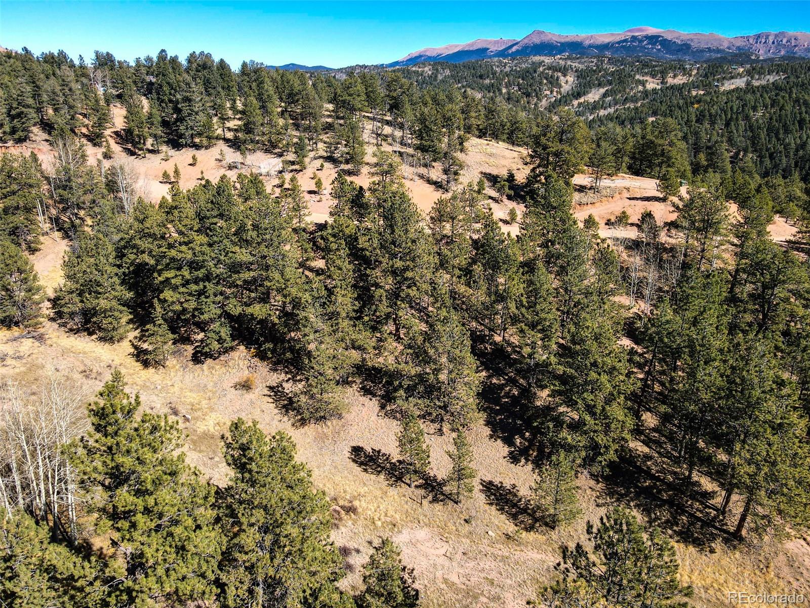 434 Dandy Jim Drive, Cripple Creek, CO 80813, ,Land,For Sale,Dandy Jim,REC9518963