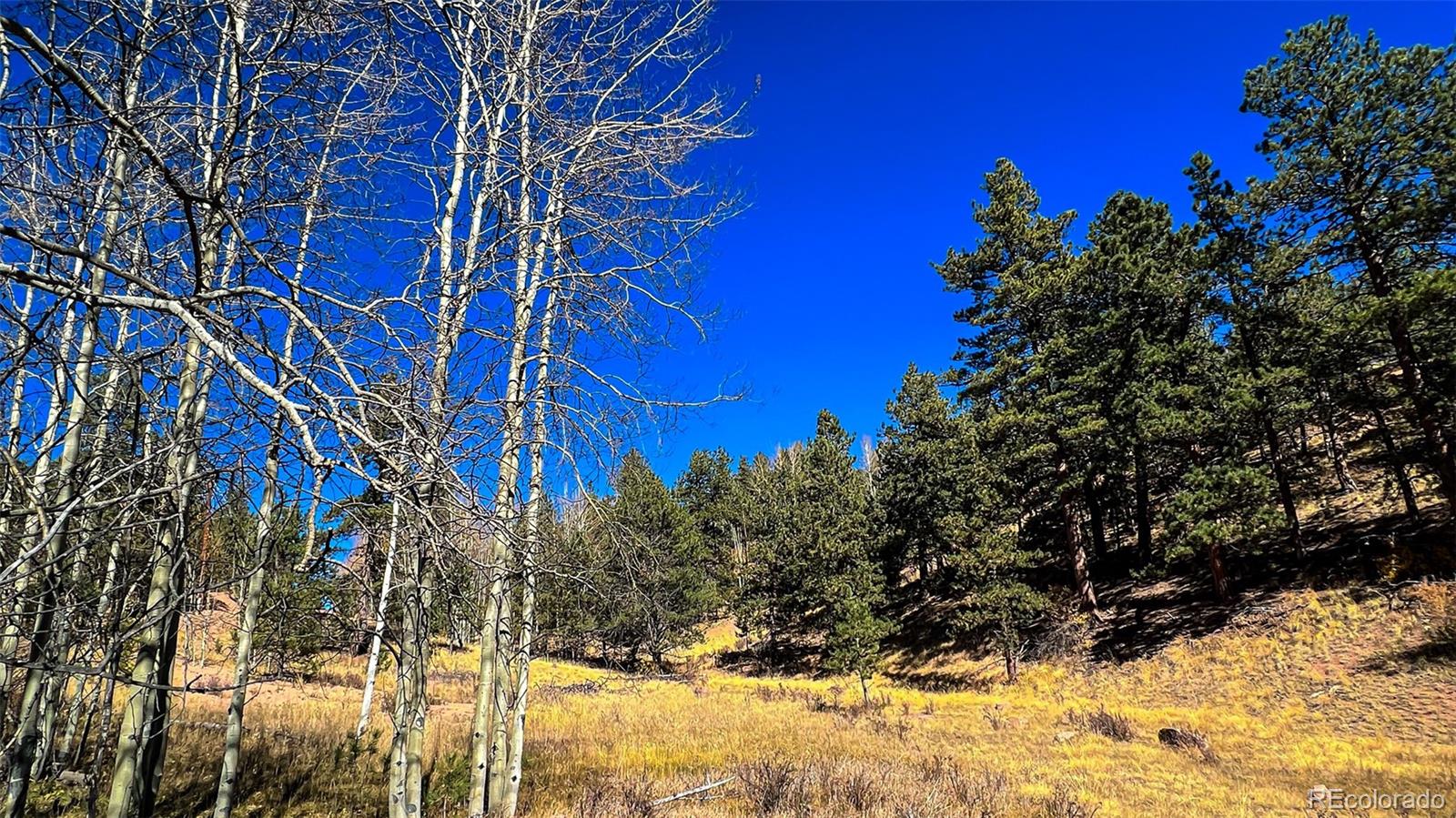 434 Dandy Jim Drive, Cripple Creek, CO 80813, ,Land,For Sale,Dandy Jim,REC9518963