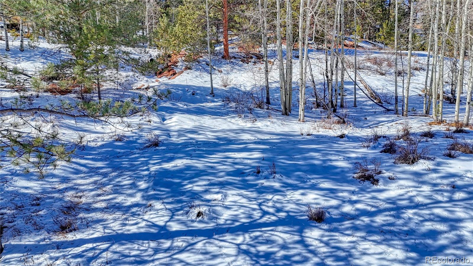 434 Dandy Jim Drive, Cripple Creek, CO 80813, ,Land,For Sale,Dandy Jim,REC9518963