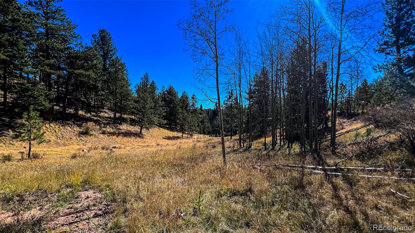 434 Dandy Jim Drive, Cripple Creek, CO 80813, ,Land,For Sale,Dandy Jim,REC9518963