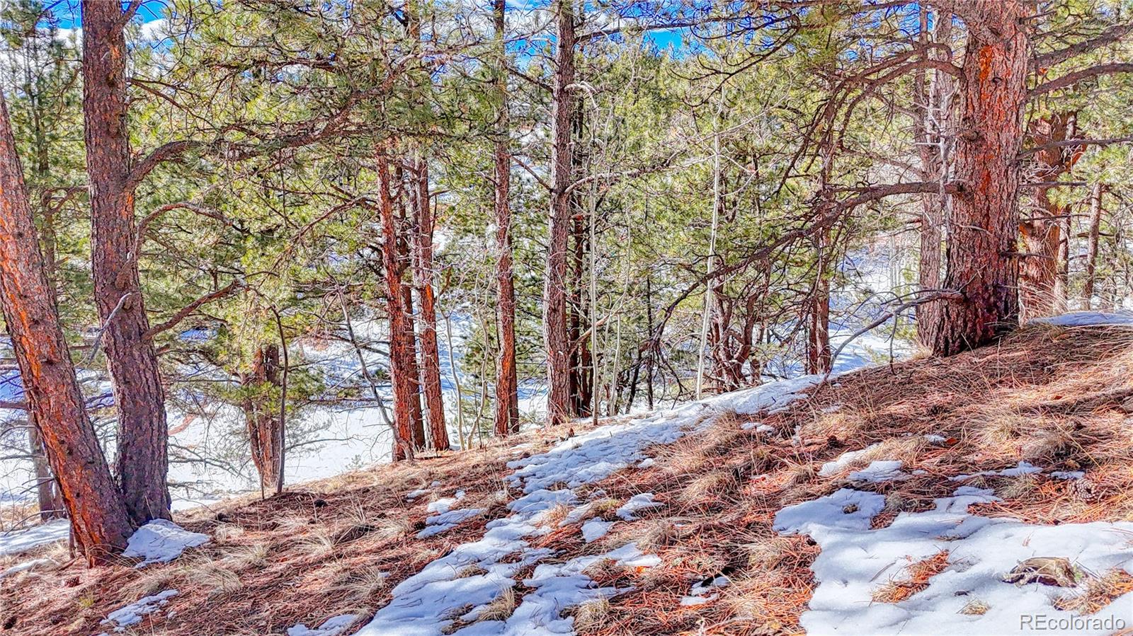434 Dandy Jim Drive, Cripple Creek, CO 80813, ,Land,For Sale,Dandy Jim,REC9518963