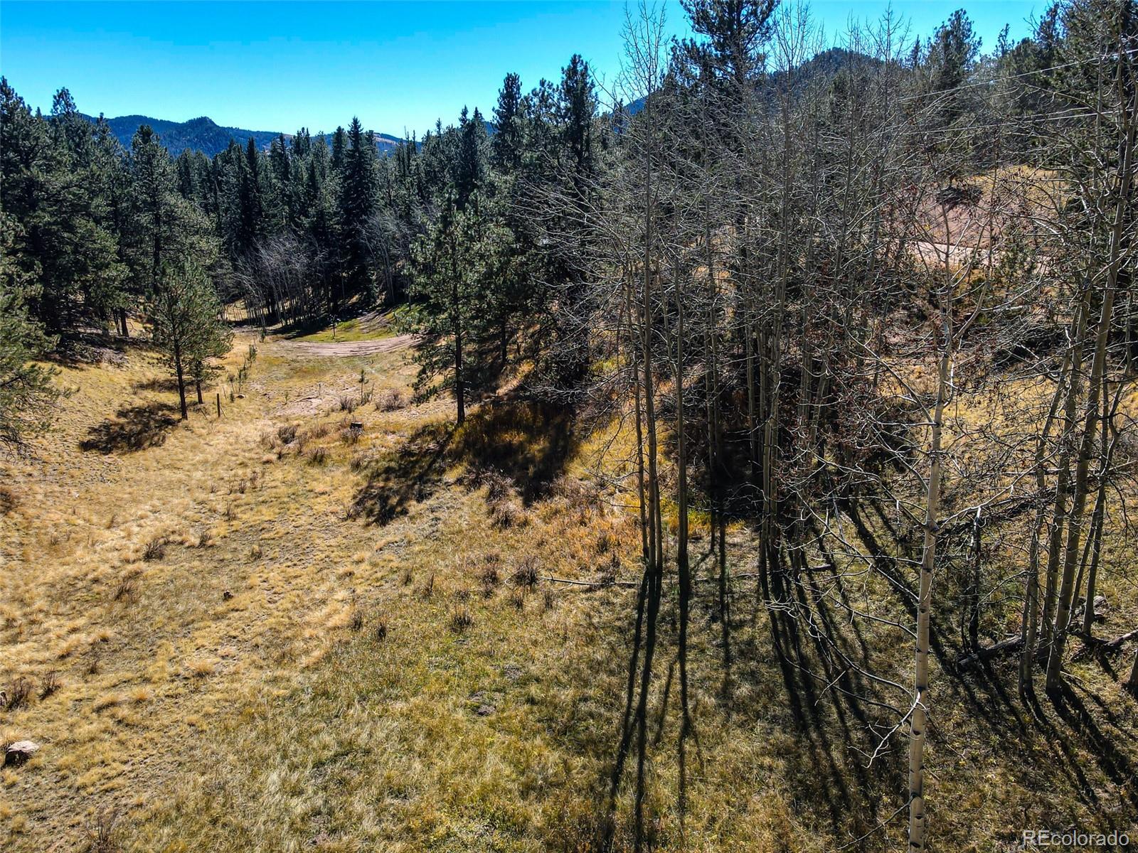 434 Dandy Jim Drive, Cripple Creek, CO 80813, ,Land,For Sale,Dandy Jim,REC9518963