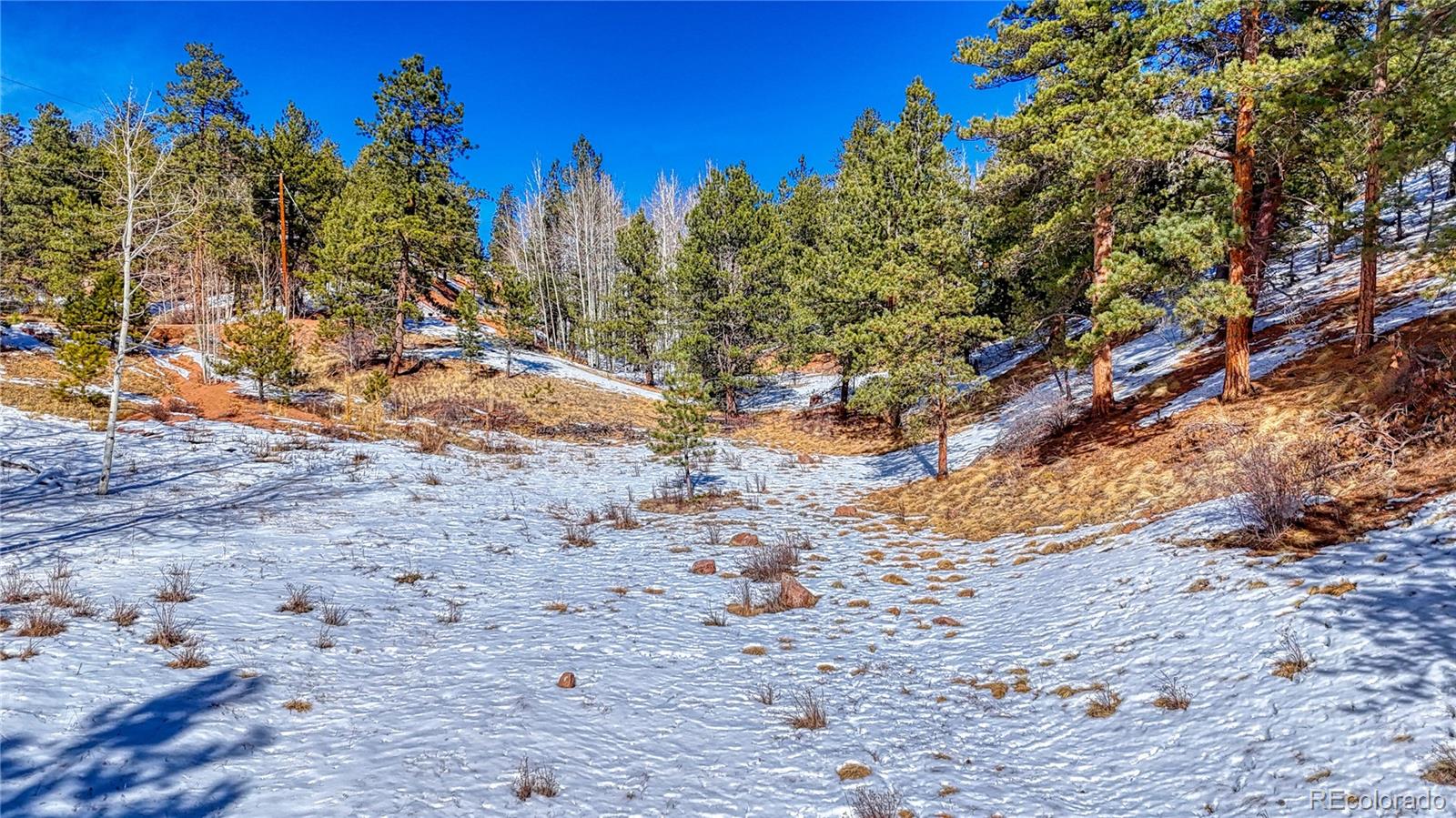 434 Dandy Jim Drive, Cripple Creek, CO 80813, ,Land,For Sale,Dandy Jim,REC9518963