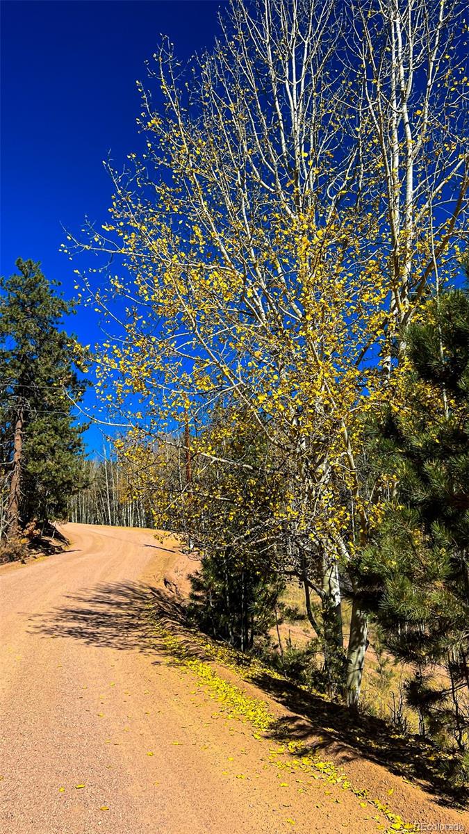434 Dandy Jim Drive, Cripple Creek, CO 80813, ,Land,For Sale,Dandy Jim,REC9518963
