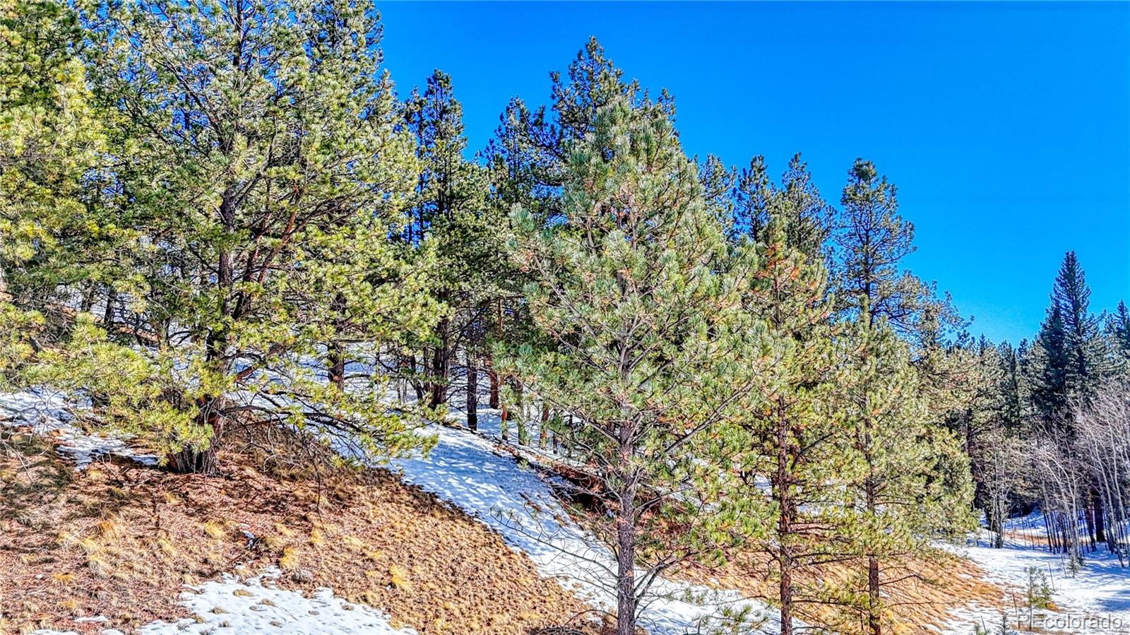 434 Dandy Jim Drive, Cripple Creek, CO 80813, ,Land,For Sale,Dandy Jim,REC9518963
