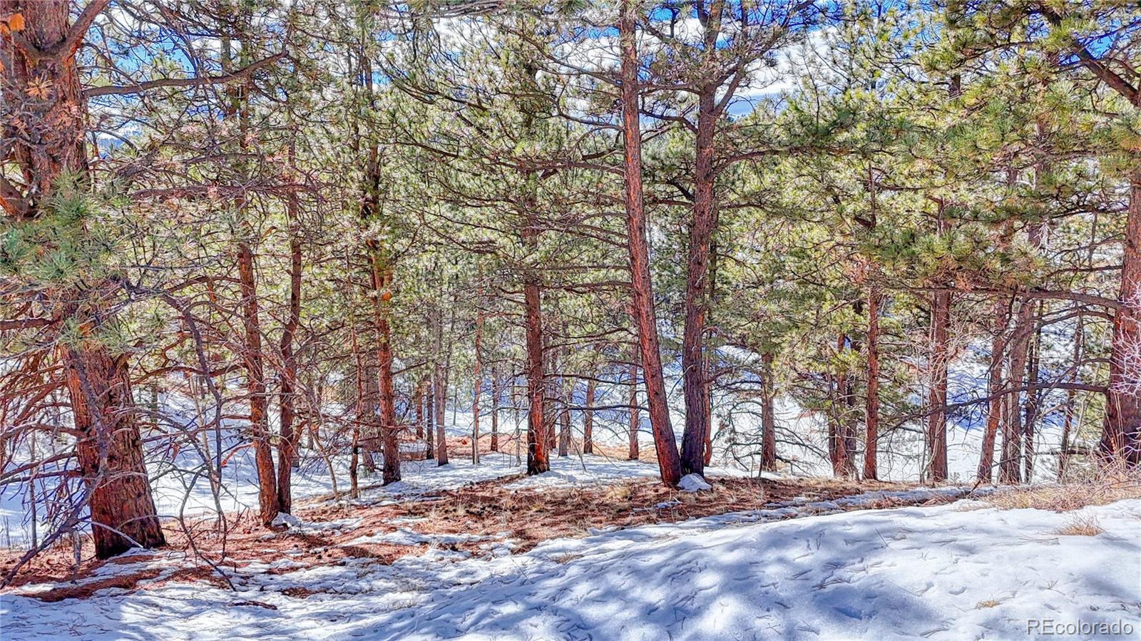 434 Dandy Jim Drive, Cripple Creek, CO 80813, ,Land,For Sale,Dandy Jim,REC9518963