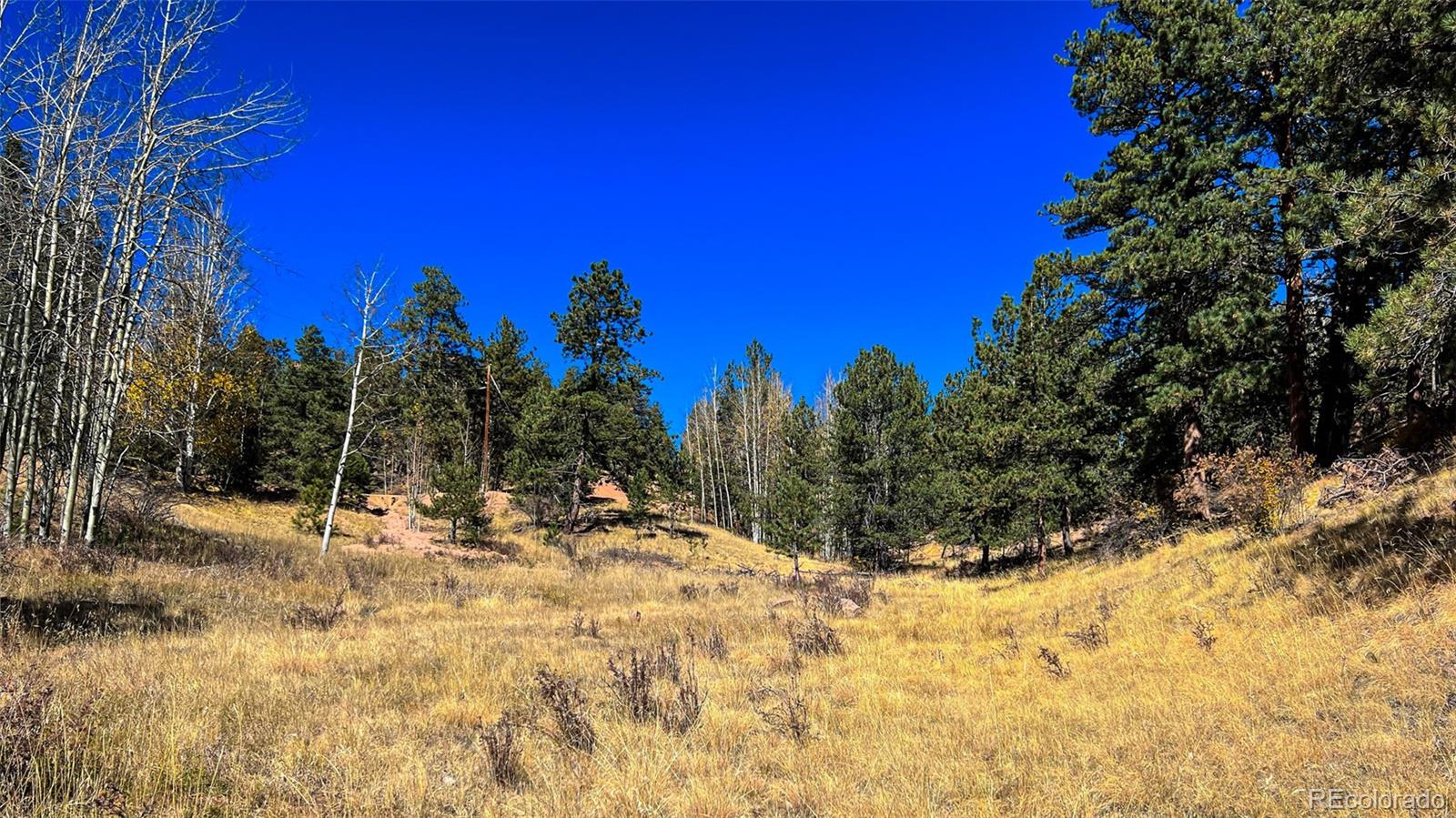 434 Dandy Jim Drive, Cripple Creek, CO 80813, ,Land,For Sale,Dandy Jim,REC9518963
