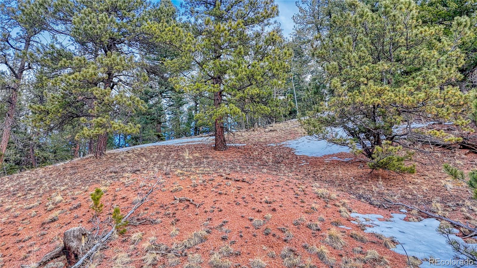 204 Idlewild Drive, Cripple Creek, CO 80813, ,Land,For Sale,Idlewild,REC3059194