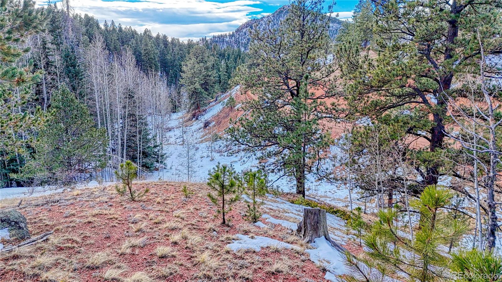204 Idlewild Drive, Cripple Creek, CO 80813, ,Land,For Sale,Idlewild,REC3059194