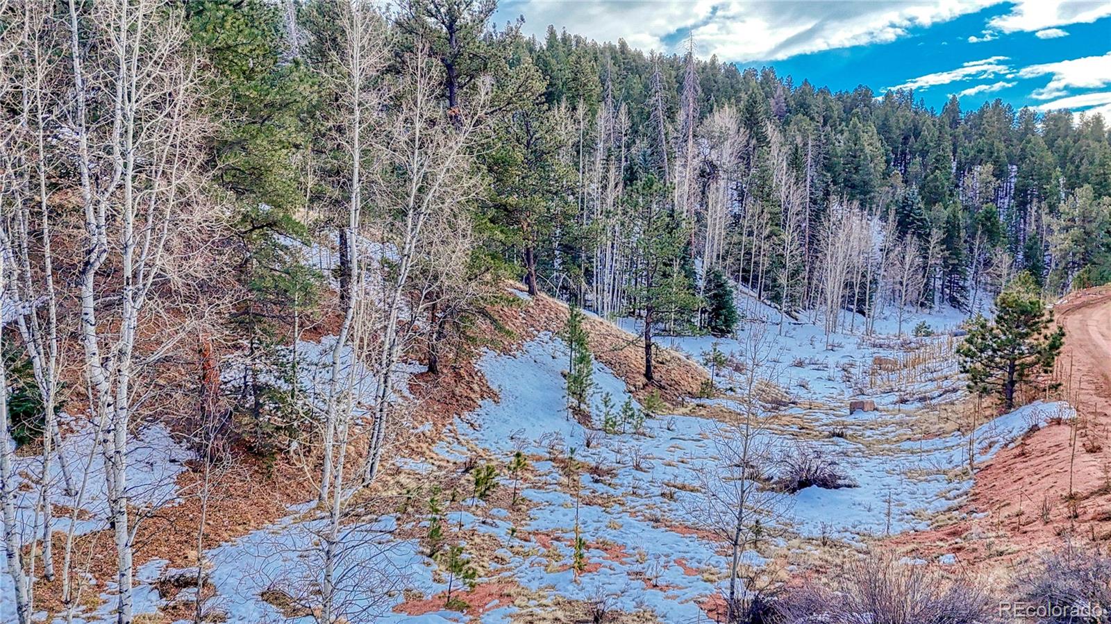 204 Idlewild Drive, Cripple Creek, CO 80813, ,Land,For Sale,Idlewild,REC3059194
