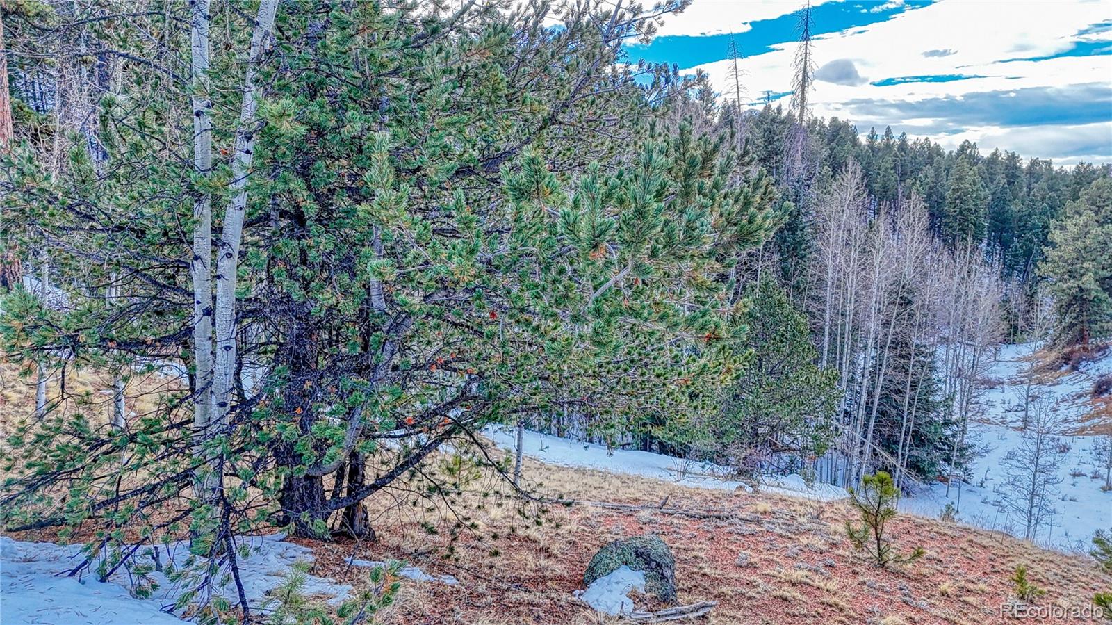 204 Idlewild Drive, Cripple Creek, CO 80813, ,Land,For Sale,Idlewild,REC3059194