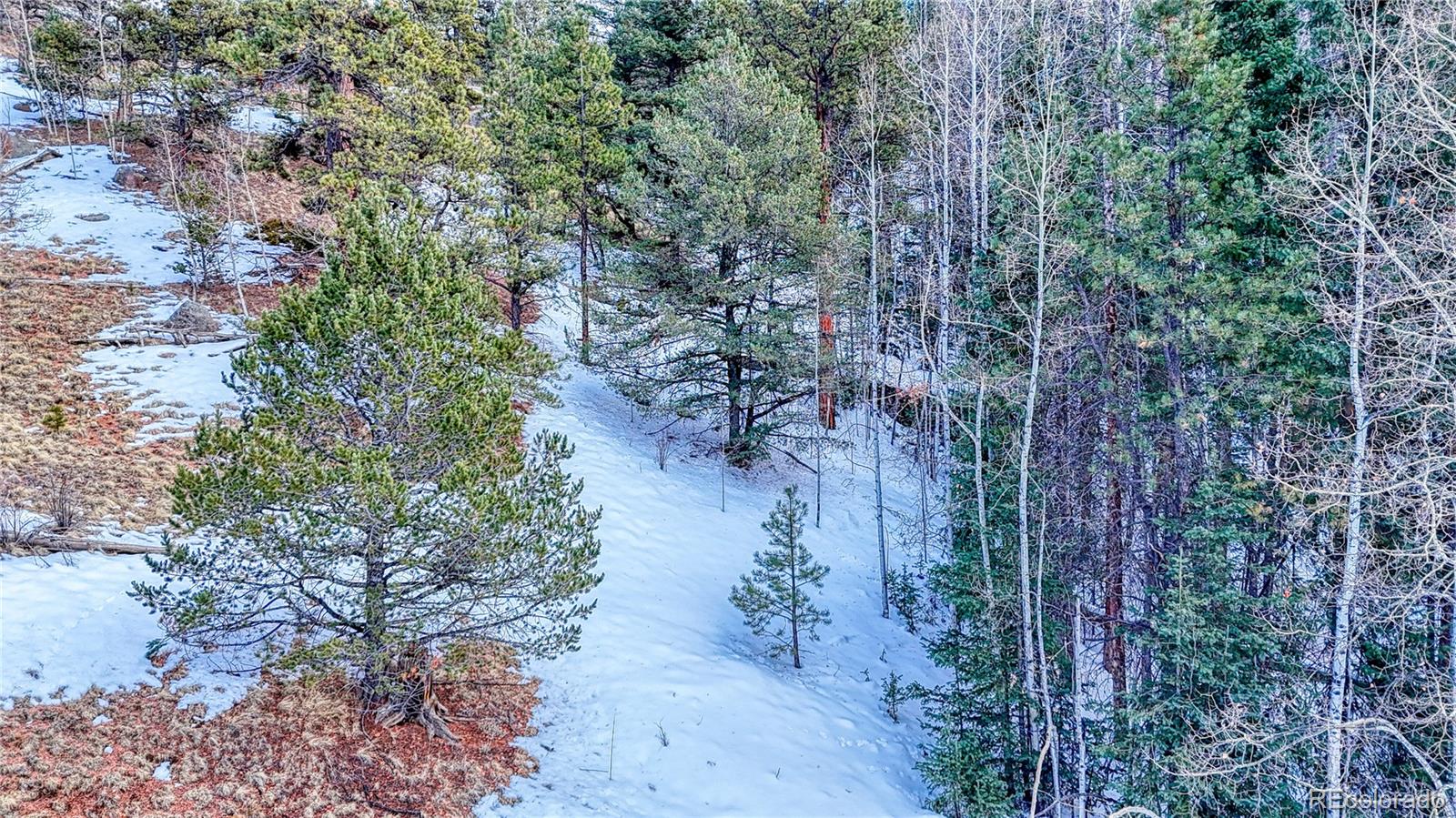 204 Idlewild Drive, Cripple Creek, CO 80813, ,Land,For Sale,Idlewild,REC3059194