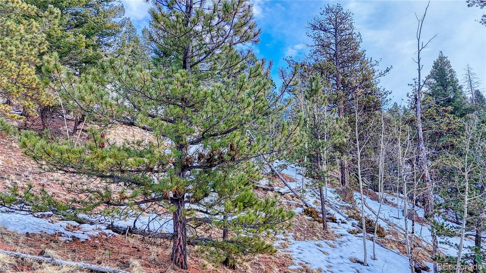204 Idlewild Drive, Cripple Creek, CO 80813, ,Land,For Sale,Idlewild,REC3059194