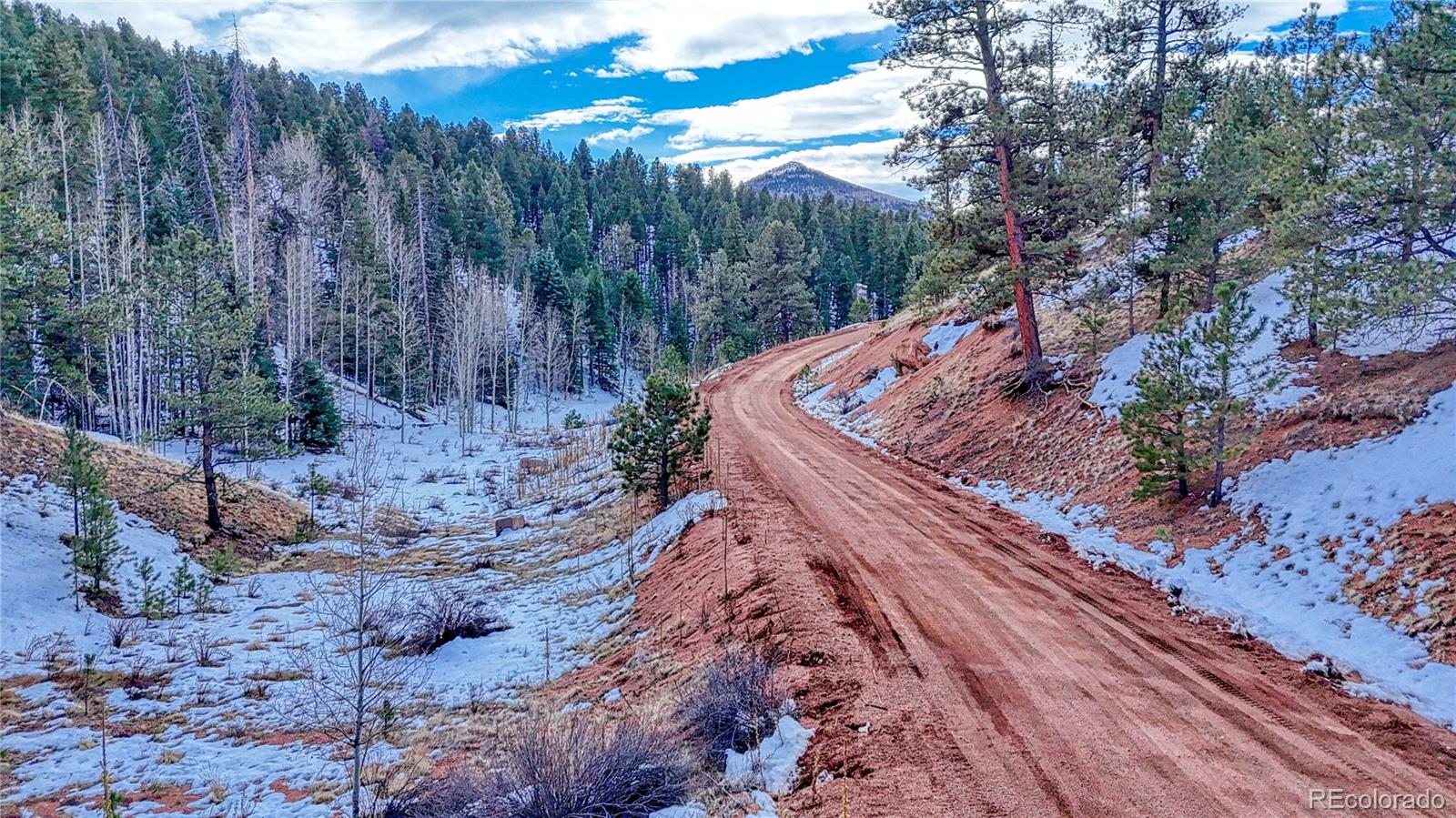 204 Idlewild Drive, Cripple Creek, CO 80813, ,Land,For Sale,Idlewild,REC3059194
