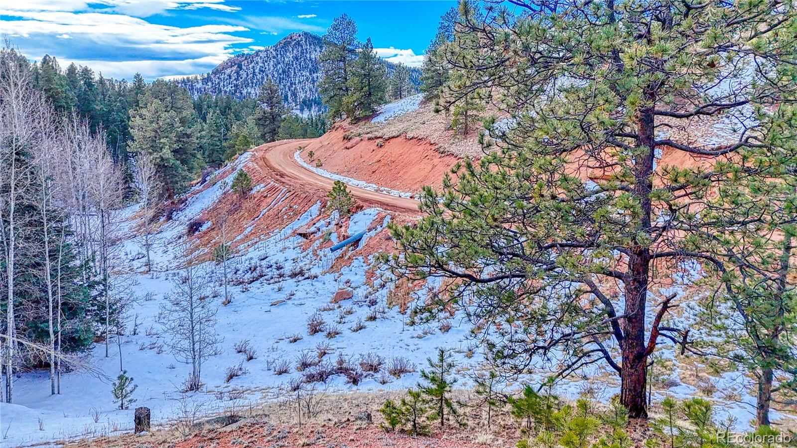 204 Idlewild Drive, Cripple Creek, CO 80813, ,Land,For Sale,Idlewild,REC3059194