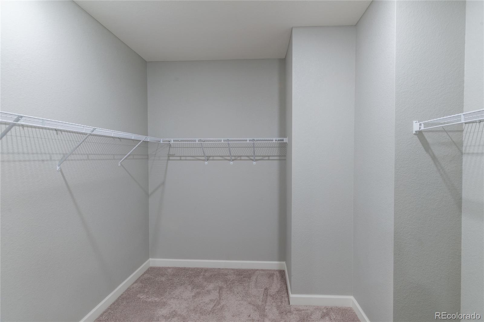 521 Felicity Loop, Castle Rock, CO 80109, 3 Bedrooms Bedrooms, ,2 BathroomsBathrooms,Residential,For Sale,Felicity,REC9427531