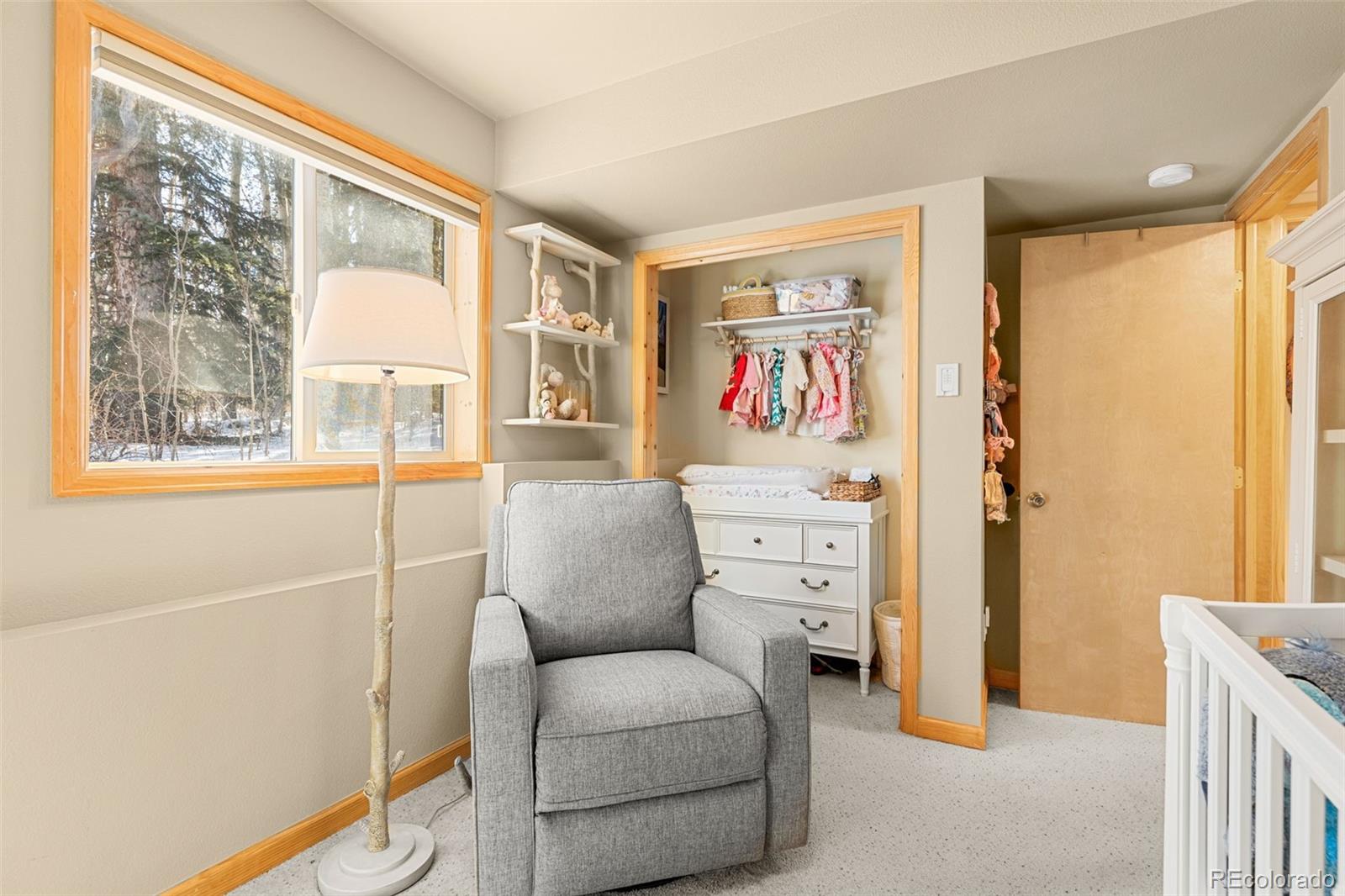 1333 High Creek Road, Fairplay, CO 80440, 3 Bedrooms Bedrooms, ,2 BathroomsBathrooms,Residential,For Sale,High Creek,REC6138563